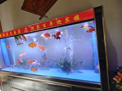 -欣旺·迎宾楼·百年无锡菜