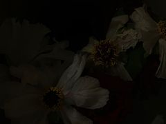 -Seeking Coffee咖啡(新竹路店)