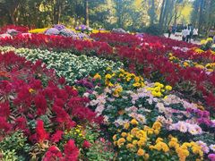 -共青国家森林公园-售票处