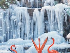 -济南野生动物世界