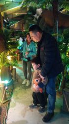 -恐龙探索乐园(磁器口店)