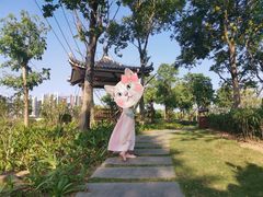 -大亚湾红树林城市湿地公园