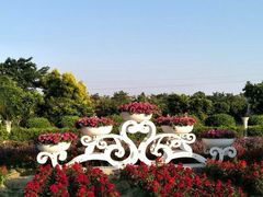 -广东花都香草世界旅游度假区