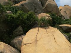 -那琴半岛地质海洋公园