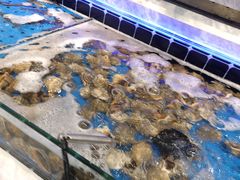 -川骄海鲜自助(河东店)