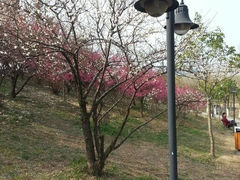 android_upload_pic-浙江农林大学(东湖校区)