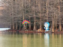 -上海海湾国家森林公园