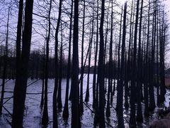 -苏州太湖国家湿地公园