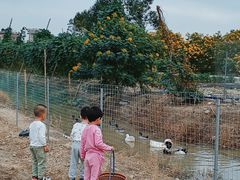 -新塘水果乐园(东洲大道店)