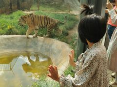 -昆明动物园