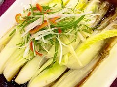 白灼娃娃菜-燕春楼(海河华鼎店)