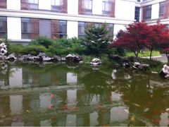 iphone_upload_pic-太湖湾开元名庭大酒店