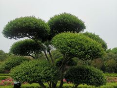 -洛阳市隋唐城遗址植物园
