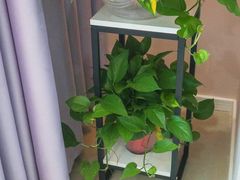 -成都恒博医院·全科检查