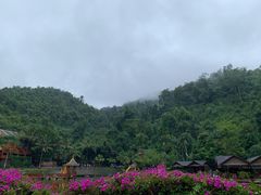 -西双版纳原始森林公园