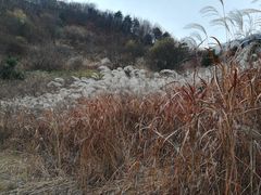 -石砭峪水库