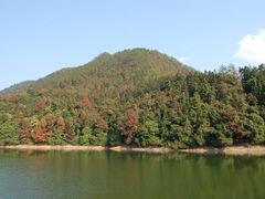 -广州市石门国家森林公园