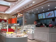 -蒲公英(五里店)