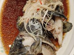 -新世纪绿洲(抚顺店)