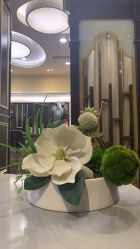 点击看大图 -八佰伴8008星级形象店