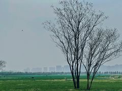 -汉长安城未央宫国家考古遗址公园