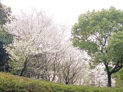 -石湖景区