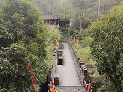 -梦姑塘文化公园