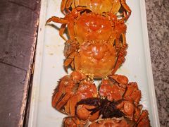 -南京大牌档(中关村领展广场店)