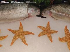 -蓝海国际大饭店·蓝钻自助百汇(兰山店)