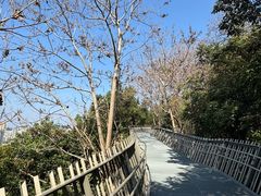 -福道