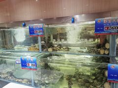 -天天渔港(杏林街店)