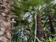 -石家庄市植物园