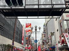 -蟹道乐(道顿堀本店)