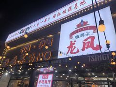 -伊通龙凤烧鸽子(二店)