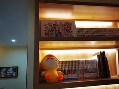 -滚猫咖啡·猫咖·猫友好撸猫(未来城店)
