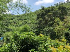 -鲤鱼塘农家山庄