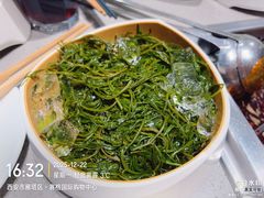 -海底捞火锅(赛格国际购物中心店)
