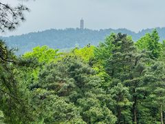 -南岳衡山风景名胜区