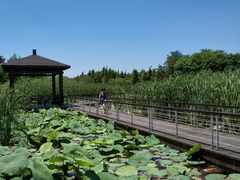 -同里国家湿地公园