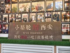 -福苗小骆驼烧烤(莲湖路店)