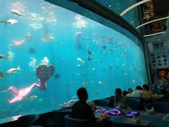 -瑞德姆美人鱼海底演艺主题餐厅(亚龙湾店)