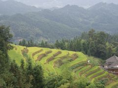 -紫鹊界梯田景区