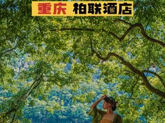 -柏联酒店