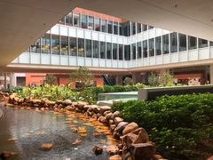 -香港大学