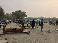 -大兴滨河森林公园