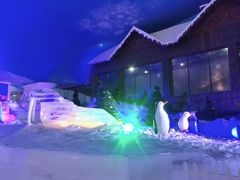 -世界之窗阿尔卑斯冰雪世界