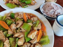 -东北菜冰城一家人