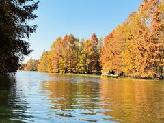 -上海海湾国家森林公园