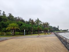 -野狸岛