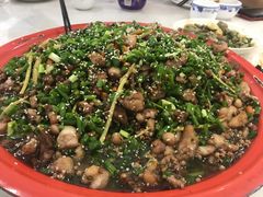 -东吴霸王兔(松青路店)